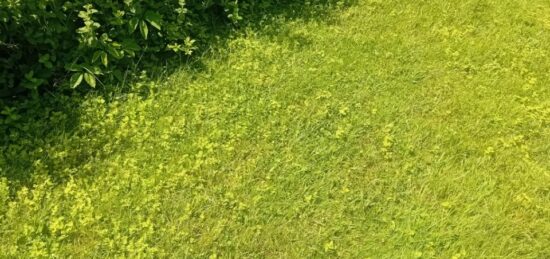 Terrain à bâtir à La Teste-de-Buch, Nouvelle-Aquitaine