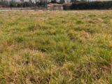 Terrain à bâtir à Créon (33670) 2267194-3601annonce120250910fbRcb.jpeg Maisons France Confort