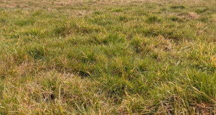 Créon Terrain à bâtir - 2267194-3601annonce120250910fbRcb.jpeg Maisons France Confort