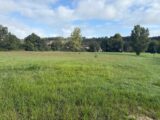 Maison à construire à Saint-Sulpice (81370) 2267052-11356annonce1202509100OGiM.jpeg Maisons France Confort