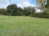 Terrain à bâtir à Saint-Sulpice (81370) 2266990-11356annonce4202509109XG8a.jpeg Maisons France Confort