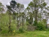 Terrain à bâtir à Margaux (33460) 2267204-10895annonce120250910LHbcx.jpeg Maisons France Confort