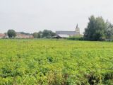 Terrain à bâtir à Audruicq (62370) 2267272-1587annonce220250911nuQD9.jpeg Maisons France Confort