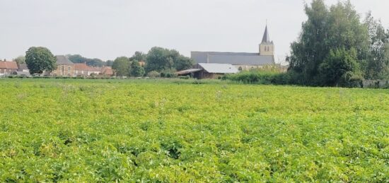 Terrain à bâtir à , Pas-de-Calais