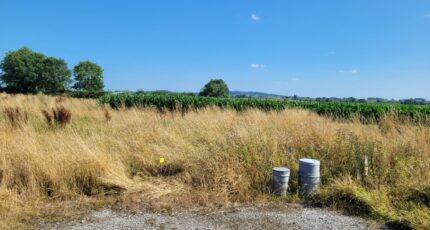 Wormhout Terrain à bâtir - 2267269-1587annonce320250911dvCeF.jpeg Maisons France Confort