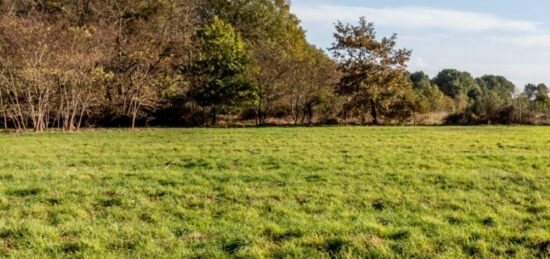 Terrain à bâtir à Grignols, Nouvelle-Aquitaine