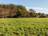 Terrain à bâtir à Cocumont (47250) 2267295-10776annonce120250911zgJNc.jpeg Maisons France Confort