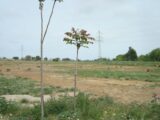Maison à construire à Perpignan (66100) 2267461-666annonce120250911apFsz.jpeg Maisons France Confort