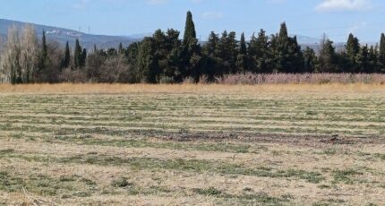 Millas Terrain à bâtir - 2267919-4671annonce120250911MXaTk.jpeg Maisons France Confort