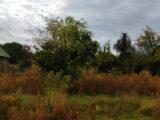 Terrain à bâtir à Maule (78580) 2268088-5689annonce120250911BCGDJ.jpeg Maisons France Confort