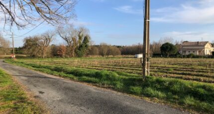 Saint-Savin Maison neuve - 2267021-1090annonce1202509105u0E5.jpeg Maisons France Confort