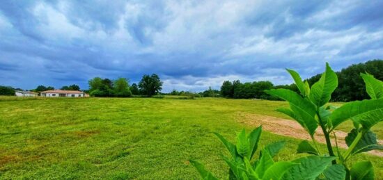 Terrain à bâtir à Pissos, Nouvelle-Aquitaine