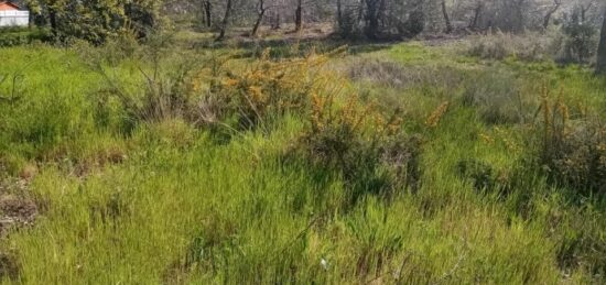 Terrain à bâtir à Mios, Nouvelle-Aquitaine