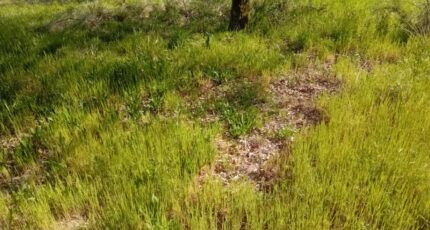 Mios Terrain à bâtir - 2268709-11244annonce220250912NSgpE.jpeg Maisons France Confort