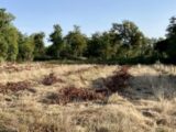 Terrain à bâtir à Artigues-près-Bordeaux (33370) 2269237-3601annonce120250912o5K9X.jpeg Maisons France Confort