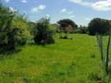 Maison à construire à L’Isle-Jourdain (32600) 2266408-10327annonce1202509101CXnN.jpeg Maisons France Confort