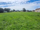 Maison à construire à Lagrave (81150) 2267817-11178annonce120250911uTtzl.jpeg Maisons France Confort