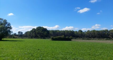Sénas Terrain à bâtir - 2270986-417annonce120250915FamLz.jpeg Maisons France Confort