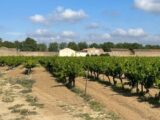 Terrain à bâtir à Canet (11200) 2271163-10986annonce120250915fEPt5.jpeg Maisons France Confort