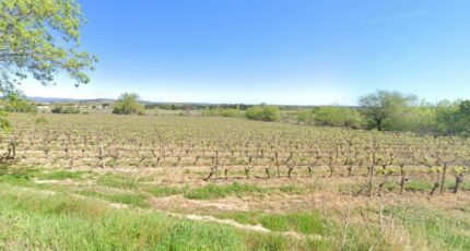 Ginestas Terrain à bâtir - 2233999-692annonce120250725HMuNf.jpeg Maisons France Confort