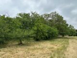 Maison à construire à Sorigny (37250) 2271282-10341annonce120250915Ivt7K.jpeg Maisons France Confort
