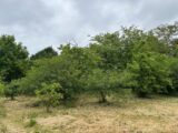 Maison à construire à Sorigny (37250) 2271282-10341annonce220250915o8LfI.jpeg Maisons France Confort