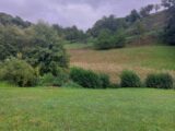 Maison à construire à Villé (67220) 2272229-5767annonce620250916JlHo0.jpeg Maisons France Confort