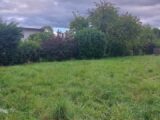 Maison à construire à Hilsenheim (67600) 2272320-5767annonce620250916qhWui.jpeg Maisons France Confort