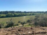 Maison à construire à Rieux-Minervois (11160) 2272507-10986annonce120250916E3gXf.jpeg Maisons France Confort