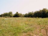 Terrain à bâtir à Soussans (33460) 2272894-1686annonce120250916qVA0a.jpeg Maisons France Confort