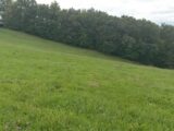 Terrain à bâtir à Dampniat (19360) 2270646-11288annonce120250914hlEbB.jpeg Maisons France Confort