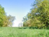 Terrain à bâtir à Mondavezan (31220) 2271751-6043annonce5202509156APVT.jpeg Maisons France Confort