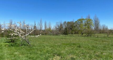 Gas Terrain à bâtir - 2273143-11364annonce320250916SedpS.jpeg Maisons France Confort