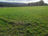 Terrain à bâtir à Verneuil-sur-Vienne (87430) 2273210-3291annonce220250916rlpkr.jpeg Maisons France Confort