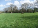 Terrain à bâtir à Béhoust (78910) 2273374-11364annonce320250916xdOCp.jpeg Maisons France Confort