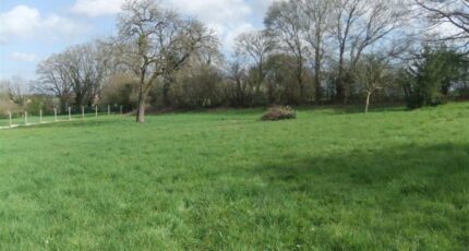 Béhoust Terrain à bâtir - 2273374-11364annonce320250916xdOCp.jpeg Maisons France Confort