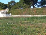Terrain à bâtir à Mauguio (34130) 2273792-11040annonce120250917iiW4i.jpeg Maisons France Confort