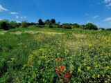 Maison à construire à Montagnac (34530) 2274138-3243annonce120250917zldSS.jpeg Maisons France Confort