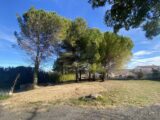 Terrain à bâtir à Pézenas (34120) 2274114-10896annonce320250917Ql475.jpeg Maisons France Confort