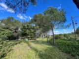 Maison à construire à Guzargues (34820) 2274558-3243annonce120250917hRSQ6.jpeg Maisons France Confort