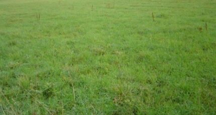 Villers-en-Ouche Terrain à bâtir - 2274633-1153annonce120250917lkx6H.jpeg Maisons France Confort