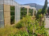 Terrain à bâtir à Carros (06510) 2274664-10316annonce1202509176T8Uk.jpeg Maisons France Confort
