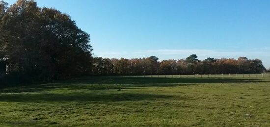 Terrain à bâtir à Hourtin, Nouvelle-Aquitaine