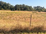 Terrain à bâtir à La Brède (33650) 2274637-3601annonce120250917nE4Ju.jpeg Maisons France Confort