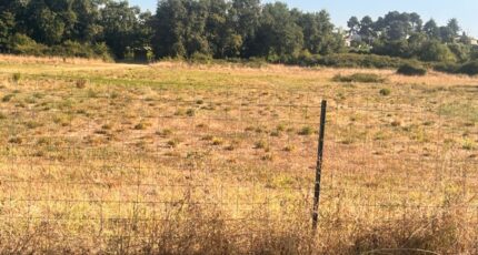 Martillac Maison neuve - 2274627-3601annonce120250917VAI5r.jpeg Maisons France Confort