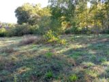 Terrain à bâtir à Vayres (33870) 2274769-11596annonce120250917LDirk.jpeg Maisons France Confort
