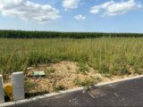 Maison à construire à Allouville-Bellefosse (76190) 2274284-11217annonce120250917kJGHv.jpeg Maisons France Confort