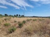 Terrain à bâtir à Roubia (11200) 2275737-10986annonce120250918loQ1t.jpeg Maisons France Confort