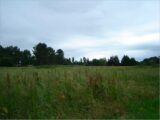 Terrain à bâtir à Saint-Michel-de-Double (24400) 2275863-5020annonce1202509182gzfF.jpeg Maisons France Confort