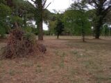Terrain à bâtir à Langon (33210) 2273650-9573annonce120250917wXb4Z.jpeg Maisons France Confort